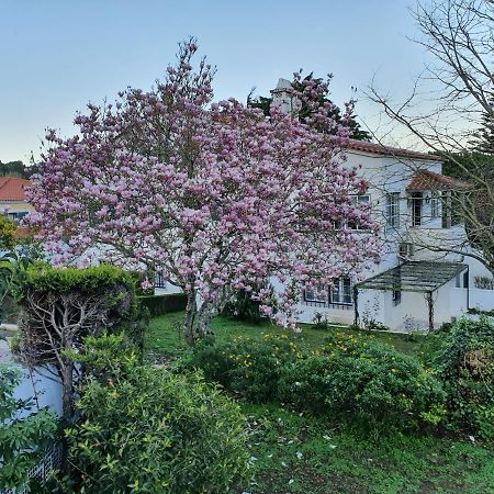 Bed and Breakfast Comfy Sintra Exterior foto