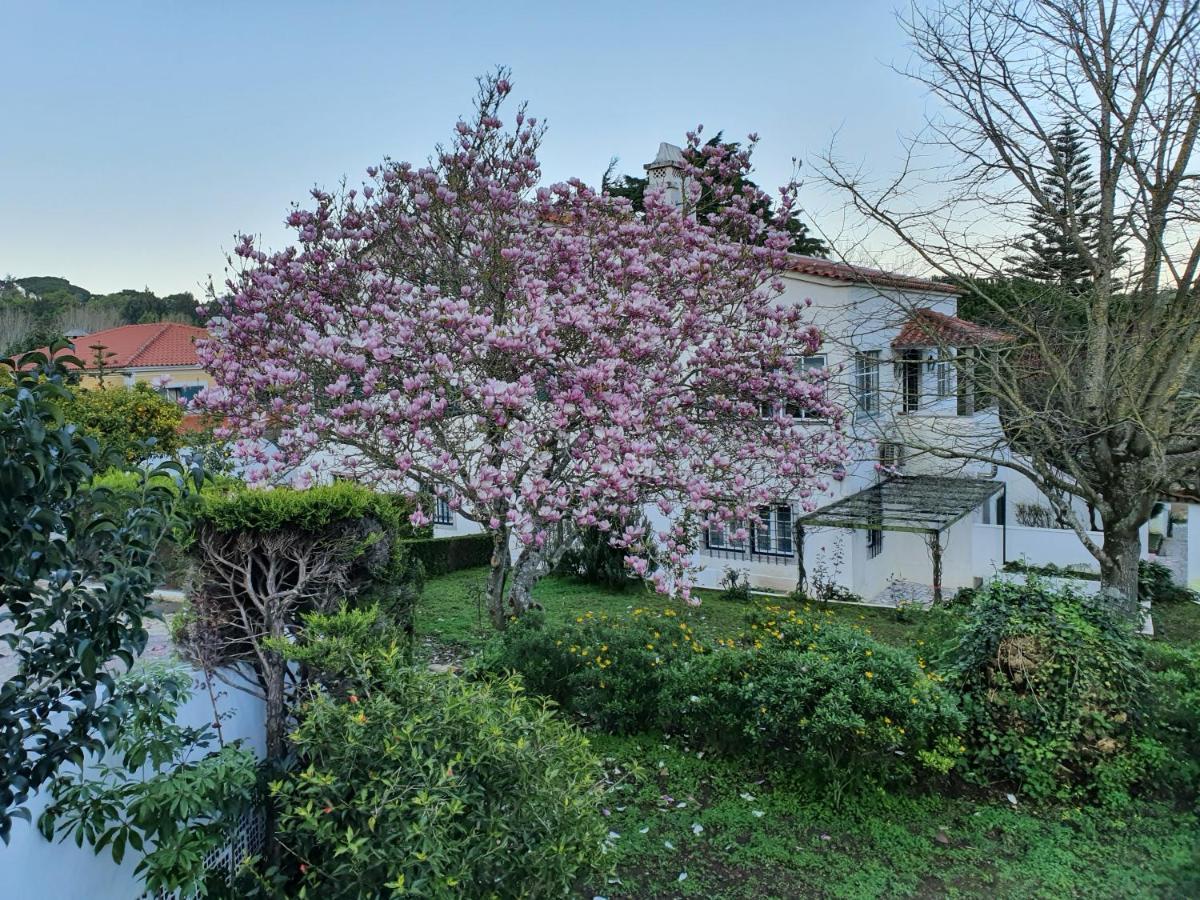 Bed and Breakfast Comfy Sintra Exterior foto